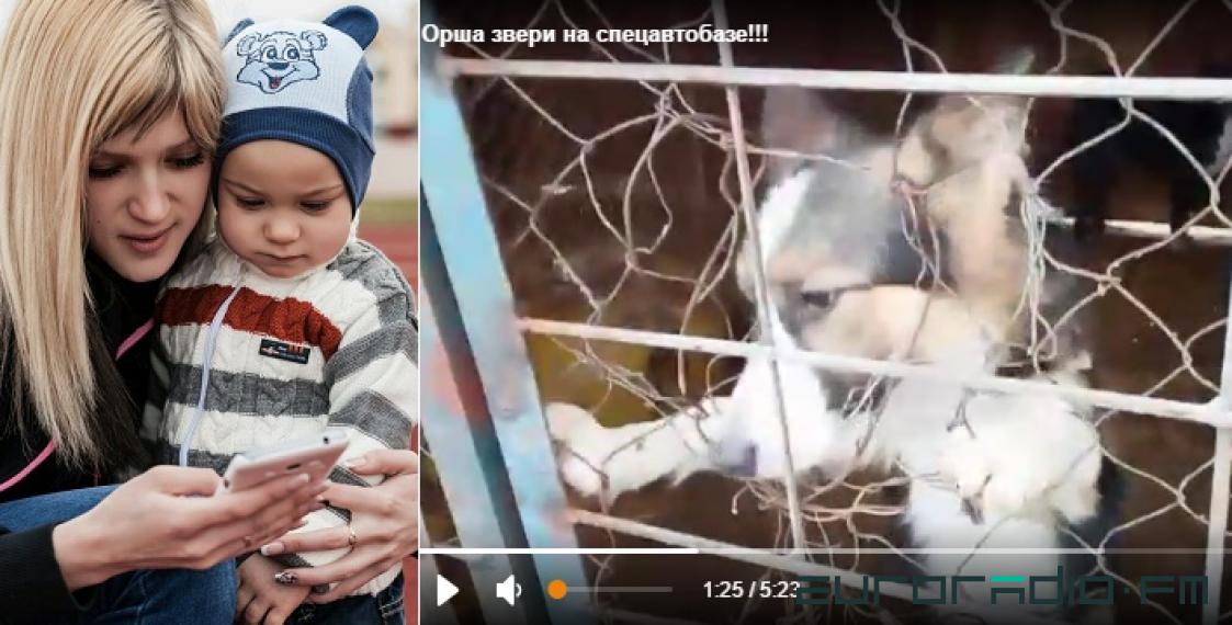 Belarus woman fined for streaming on social media from animals shelter