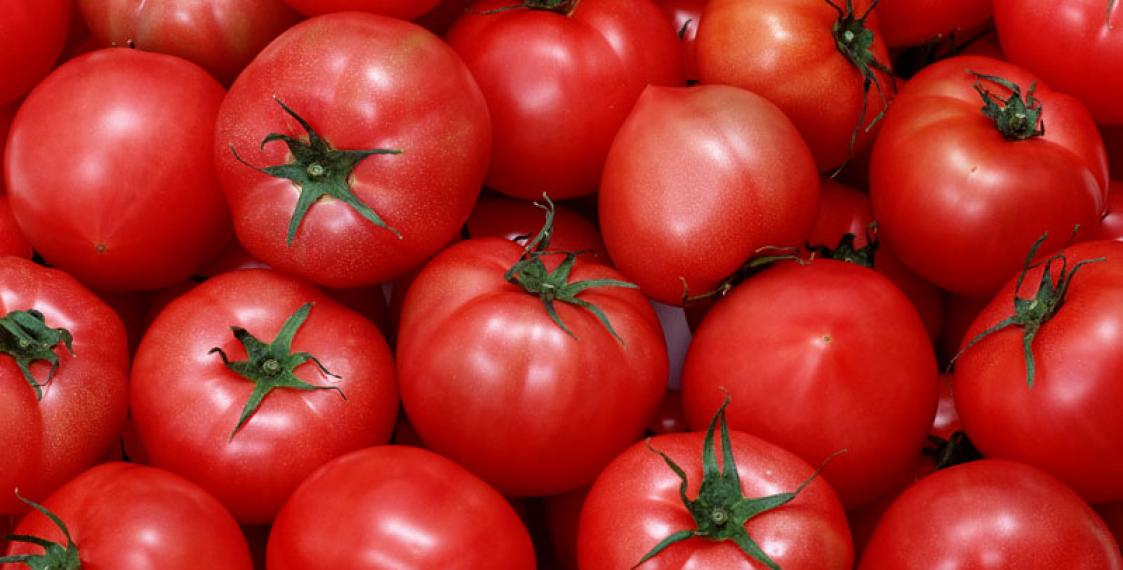 Belarus a key importer of Turkish tomatoes. Are they for Russia?