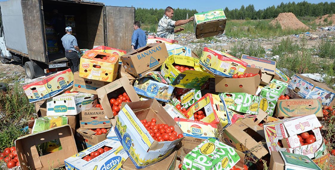 Russia wants other EAEU states to annihilate illegal products