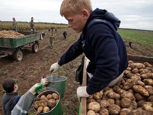 The many faces of forced labour in Belarus