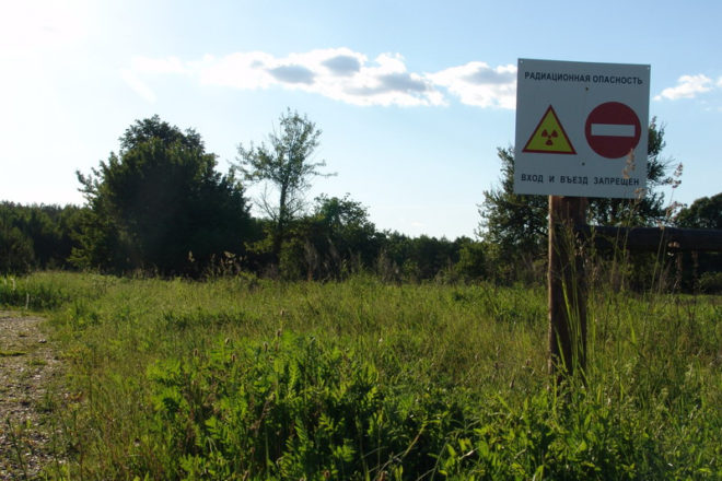Lukashenka lifted protective zone around Polesie radiation reserve