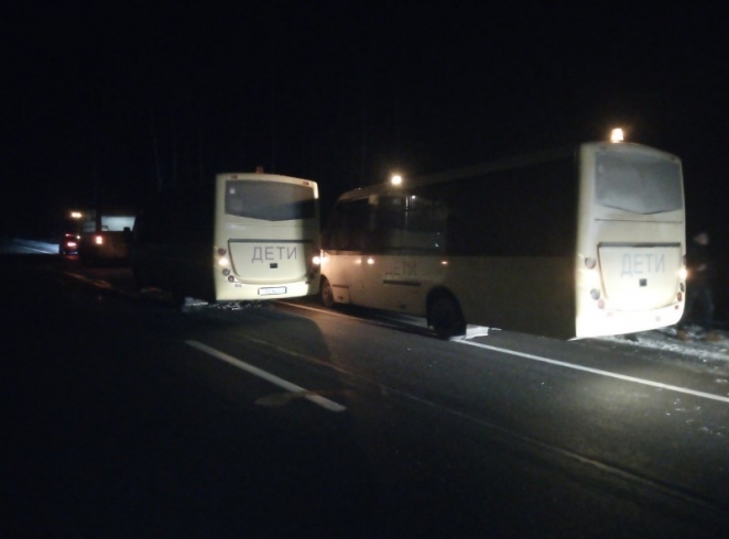 Автобусы с детьми столкнулись под Минском из-за лосей на дороге